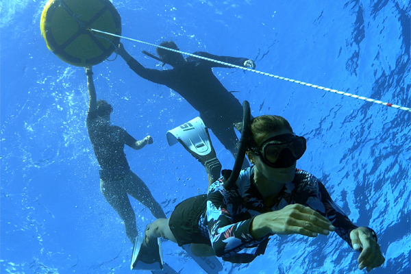 L&rsquo;apn&eacute;e