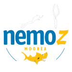 Nemoz Diving