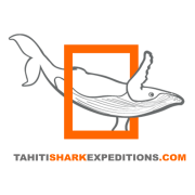 Tahiti Shark Expeditions Logo